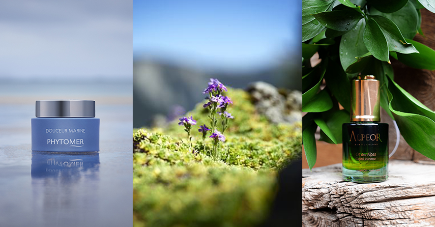 Spring at Cristal Spa: Give your skin a new lease of life